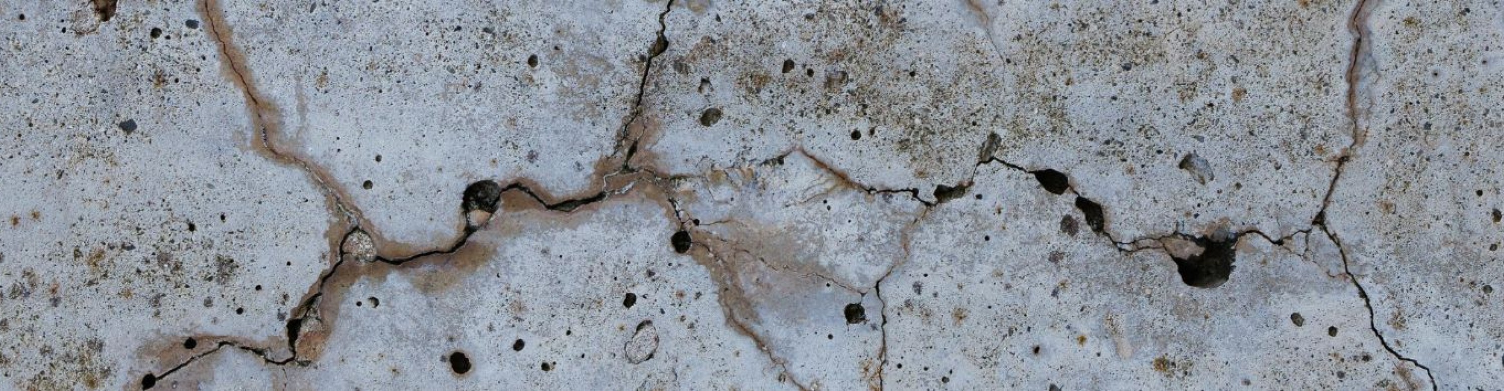 Pathologies et Durabilité des bétons